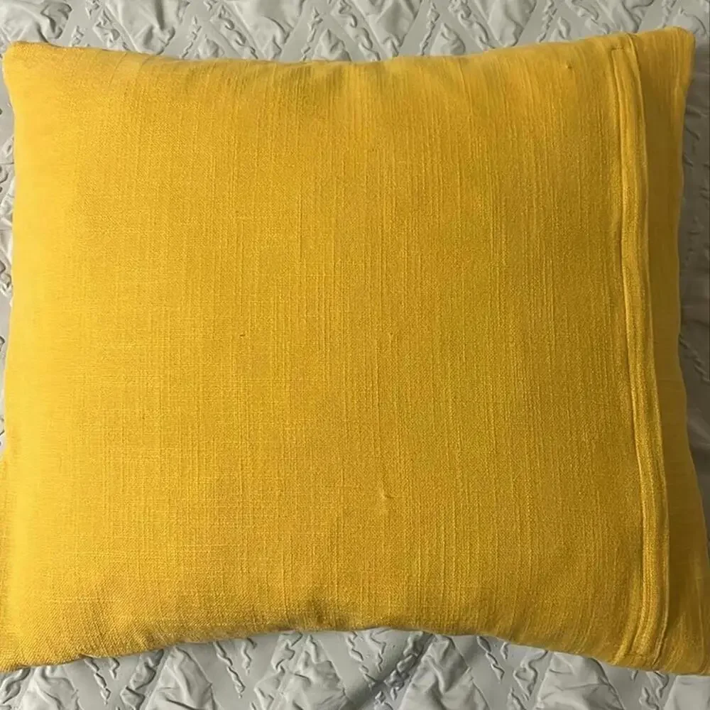 Crate & barrel throw pillow